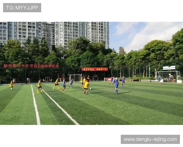 汗水背后的心声：运动员专访揭秘赛场内外不为人知的故事